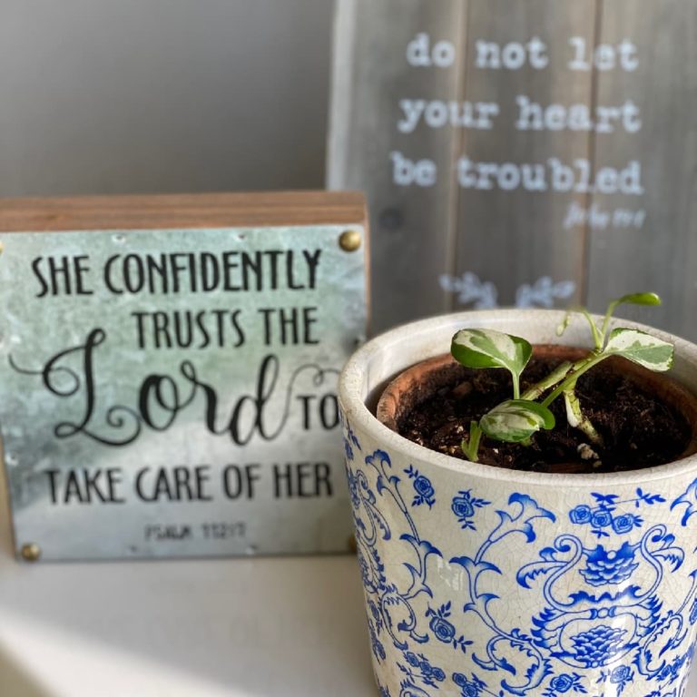Picture of a potted plant and decorative wood tiles with text on a countertop. Text 1: "She confidently trusts the lord to take care of her". Text 2: "do not let your heart be troubled".